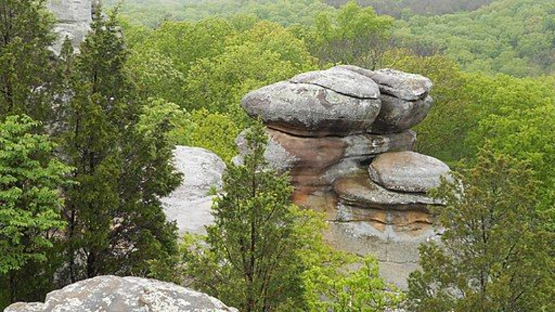 Great Rivers Files Objections to Reckless Timber Harvest of Shawnee National Forest