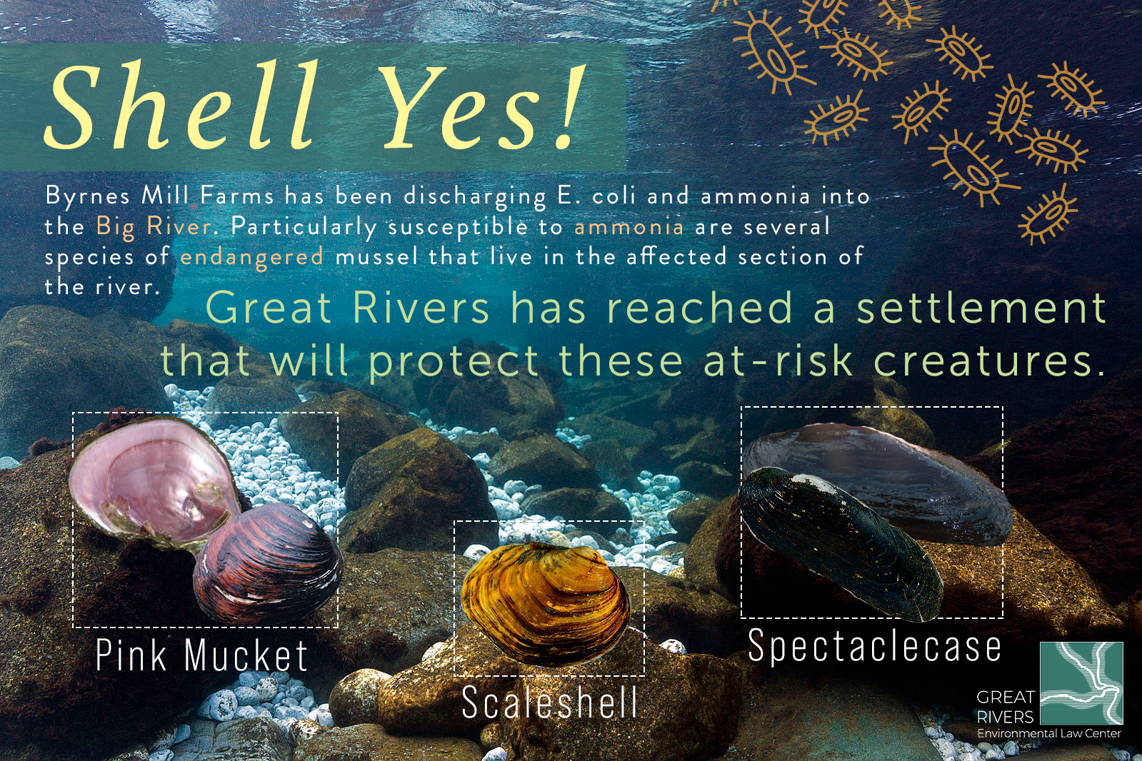 Great Rivers Environmental Law Center sees Victory in Water Pollution Case