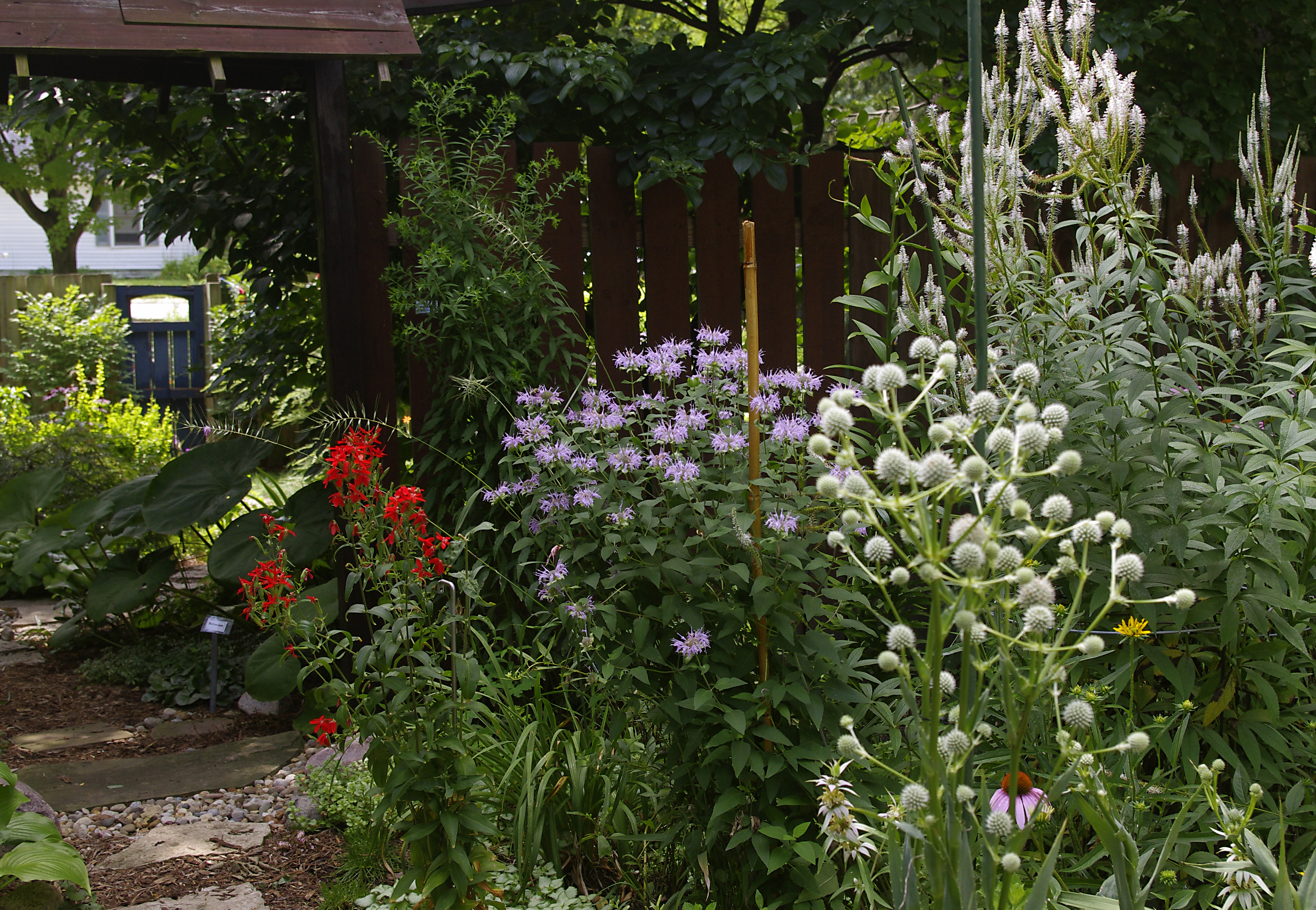 Freed From Weed Ordinances: A Law That Protects Native Gardens